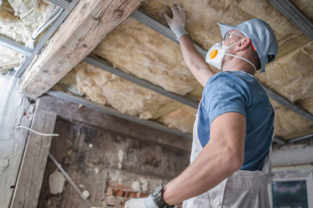 Best Specialized Insulation Services in Bryan, TX